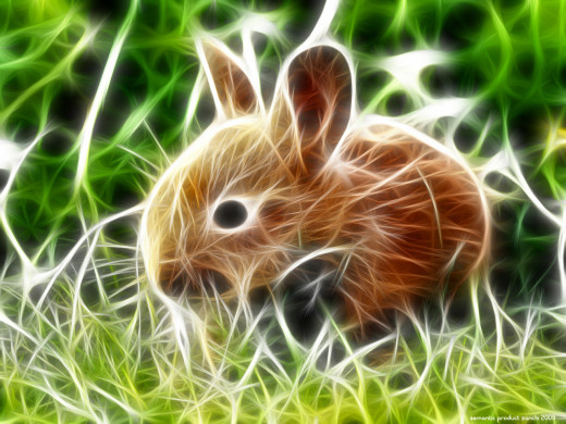 19041 (a): :1280x960